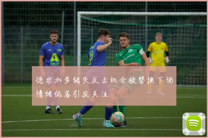 德尔加多错失反击机会被替换下场情绪低落引发关注