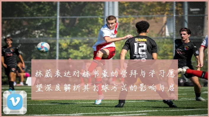 林葳表达对林书豪的崇拜与学习愿望深度解析其打球方式的影响与启发
