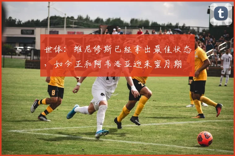 世体：维尼修斯已经拿出最佳状态，如今正和阿韦洛亚迎来蜜月期