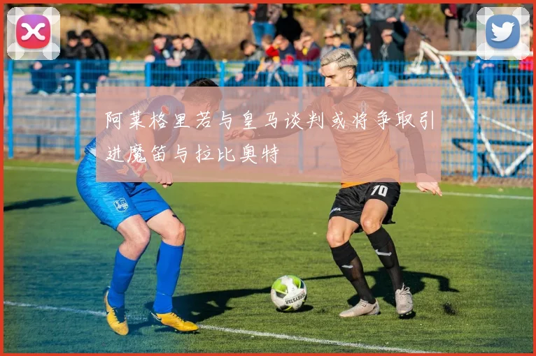 阿莱格里若与皇马谈判或将争取引进魔笛与拉比奥特