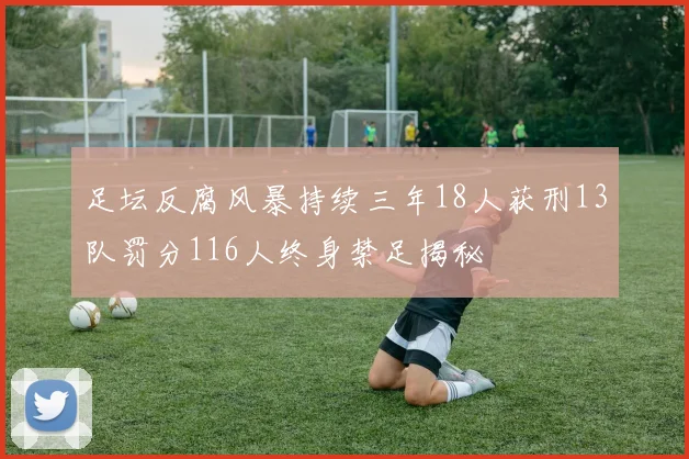 足坛反腐风暴持续三年18人获刑13队罚分116人终身禁足揭秘