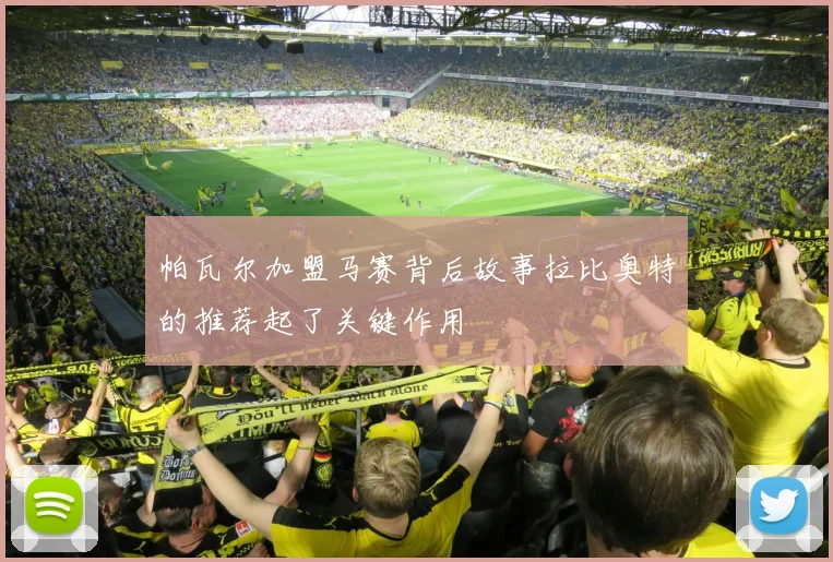 帕瓦尔加盟马赛背后故事拉比奥特的推荐起了关键作用